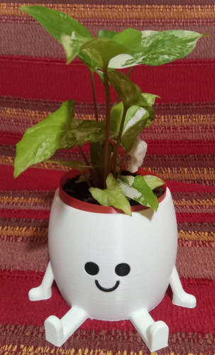 Collezione baby plants - baby, vaso