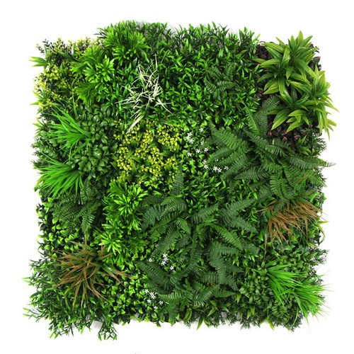 Tropicale siepi pannelli x - siepi,