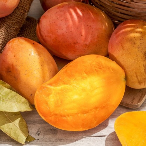 Pianta frutto tropicale - da,