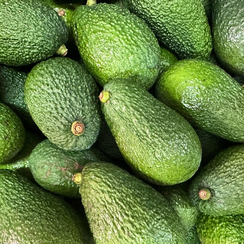 Pianta frutto tropicale - pianta,