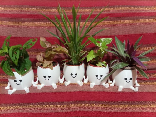Collezione baby plants vaso - baby, +