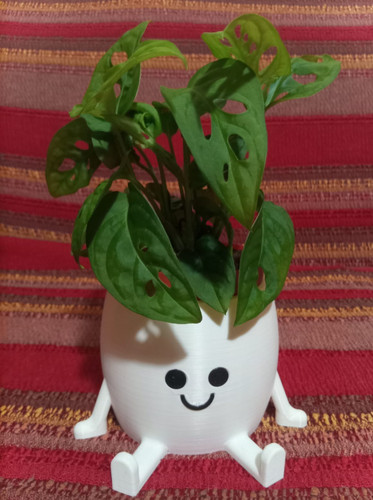 Collezione baby plants vaso - baby,