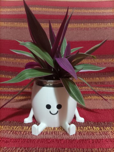 Collezione baby plants - collezione,