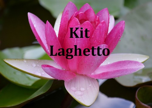Piante laghetto tinozza - piante, 2
