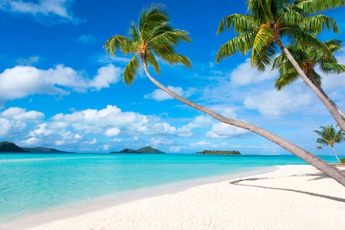 Fotomurale paradisiaco - paradisiaco, di