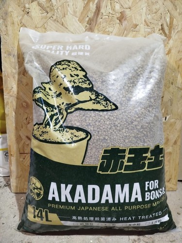 Akadama media granulometria - akadama,
